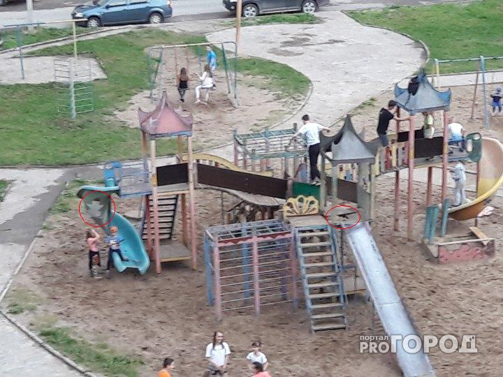 В Сыктывкаре детская площадка угрожает здоровью детей