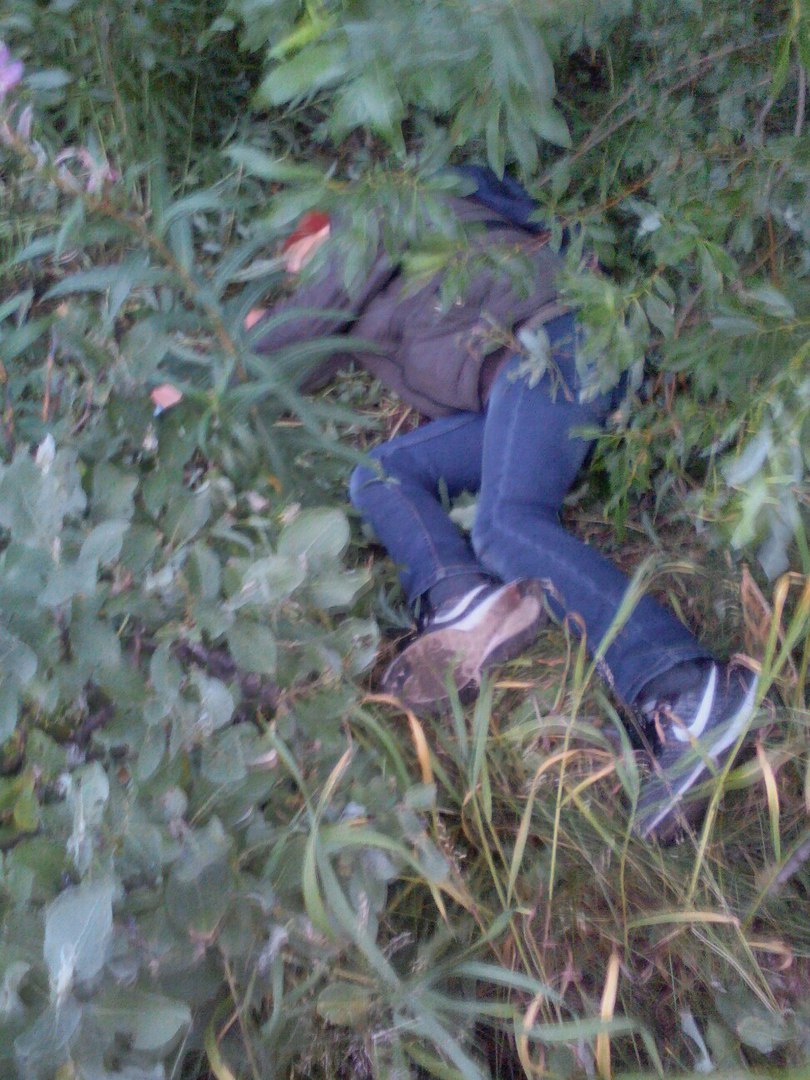 В Коми очевидцы запечатлели пьяного ребенка, который валялся в кустах (фото)
