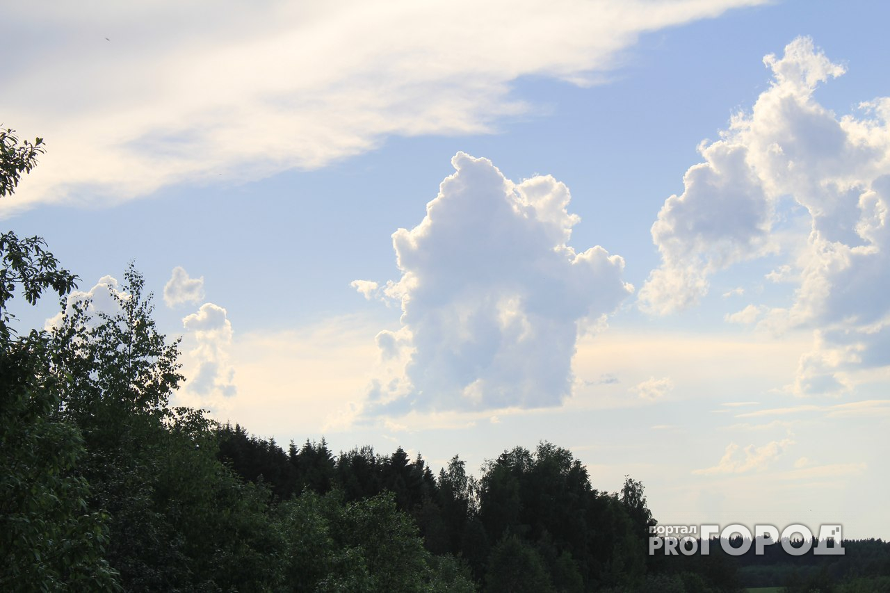 Погода на 16 августа: синоптики обещают легкий ветер и много облаков