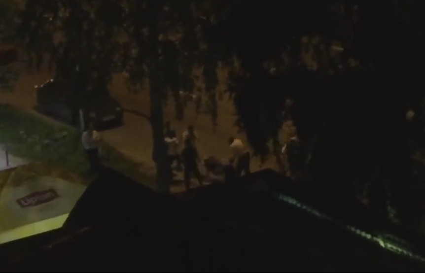 В Сыктывкаре толпа мужчин устроила побоище палками возле донарной (видео)