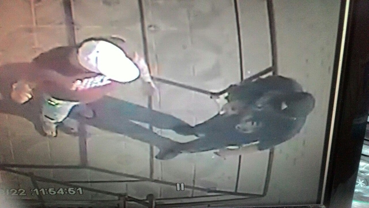 В Сыктывкаре двое мужчин раздели манекен в торговом центре (фото)