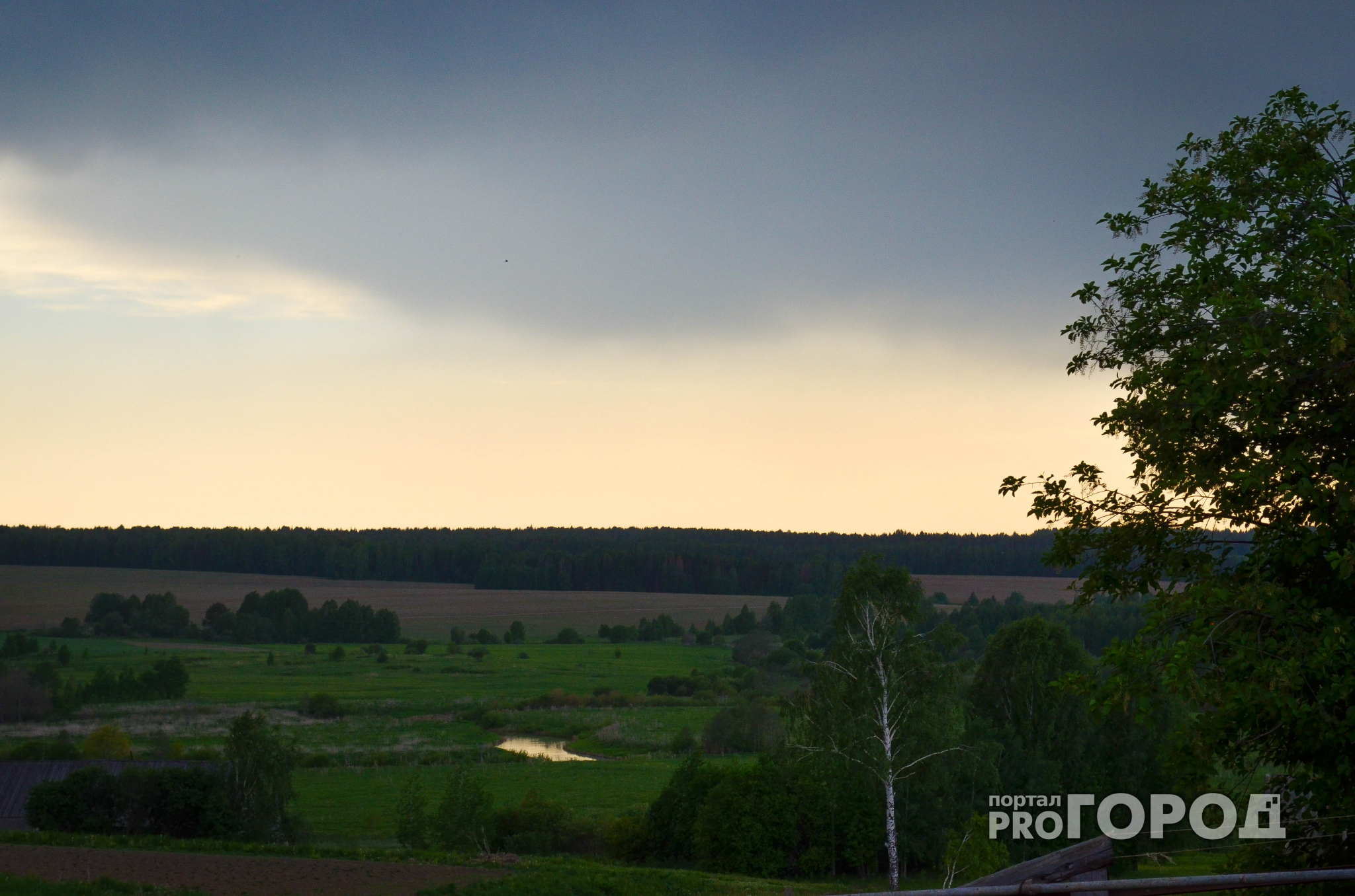 Погода в Сыктывкаре 27 августа: мокро, сыро и гроза
