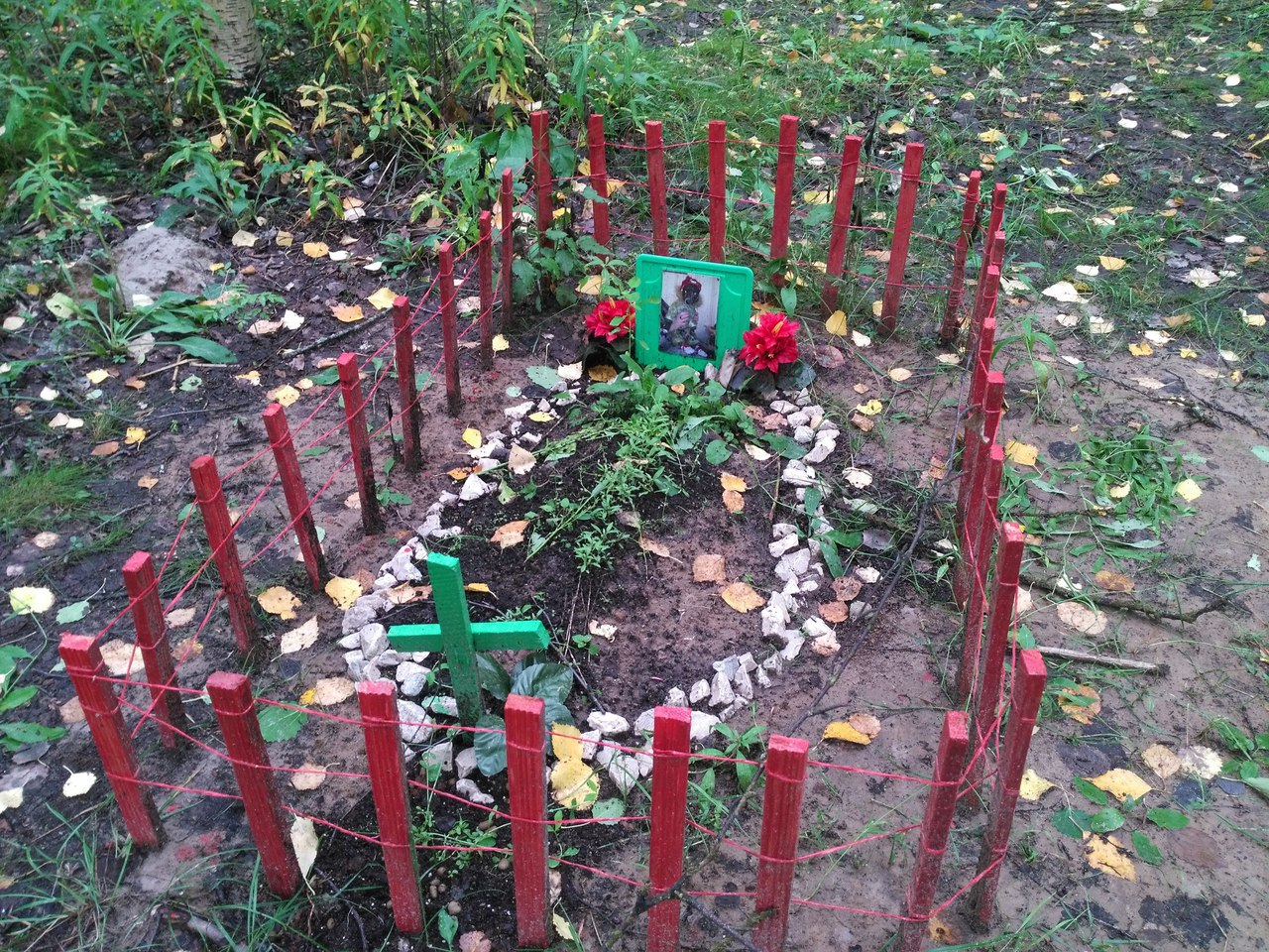 Жителей Коми напугало кладбище домашних животных в парке