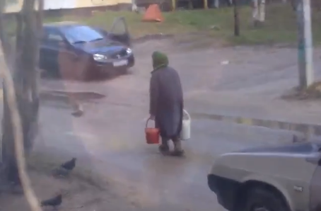 В Ухте пенсионерка кормит голубей помоями: соседи страдают от вони (видео)