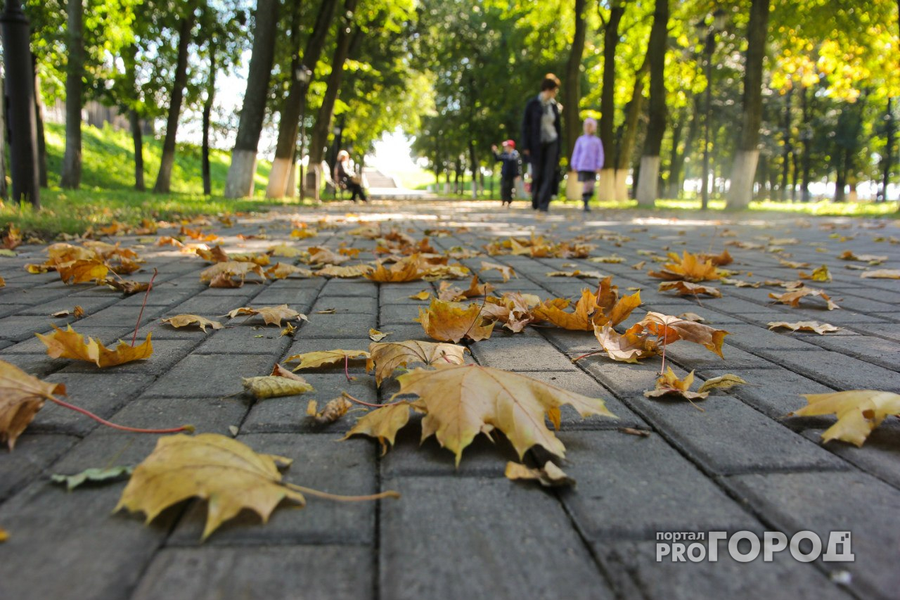 Погода в Сыктывкаре на 10 сентября: дожди отступают