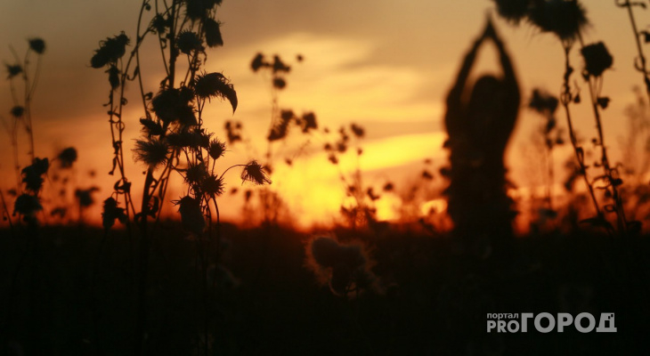 Погода в Сыктывкаре на 11 сентября: к нам идет солнце