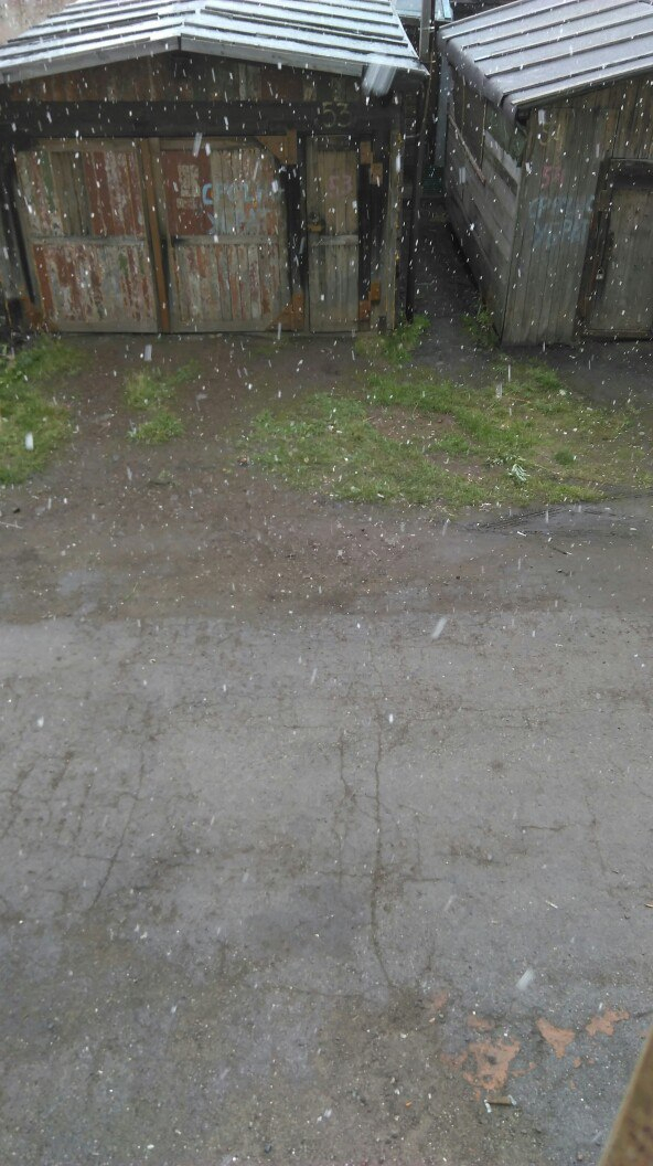 В Коми выпал первый снег (фото)