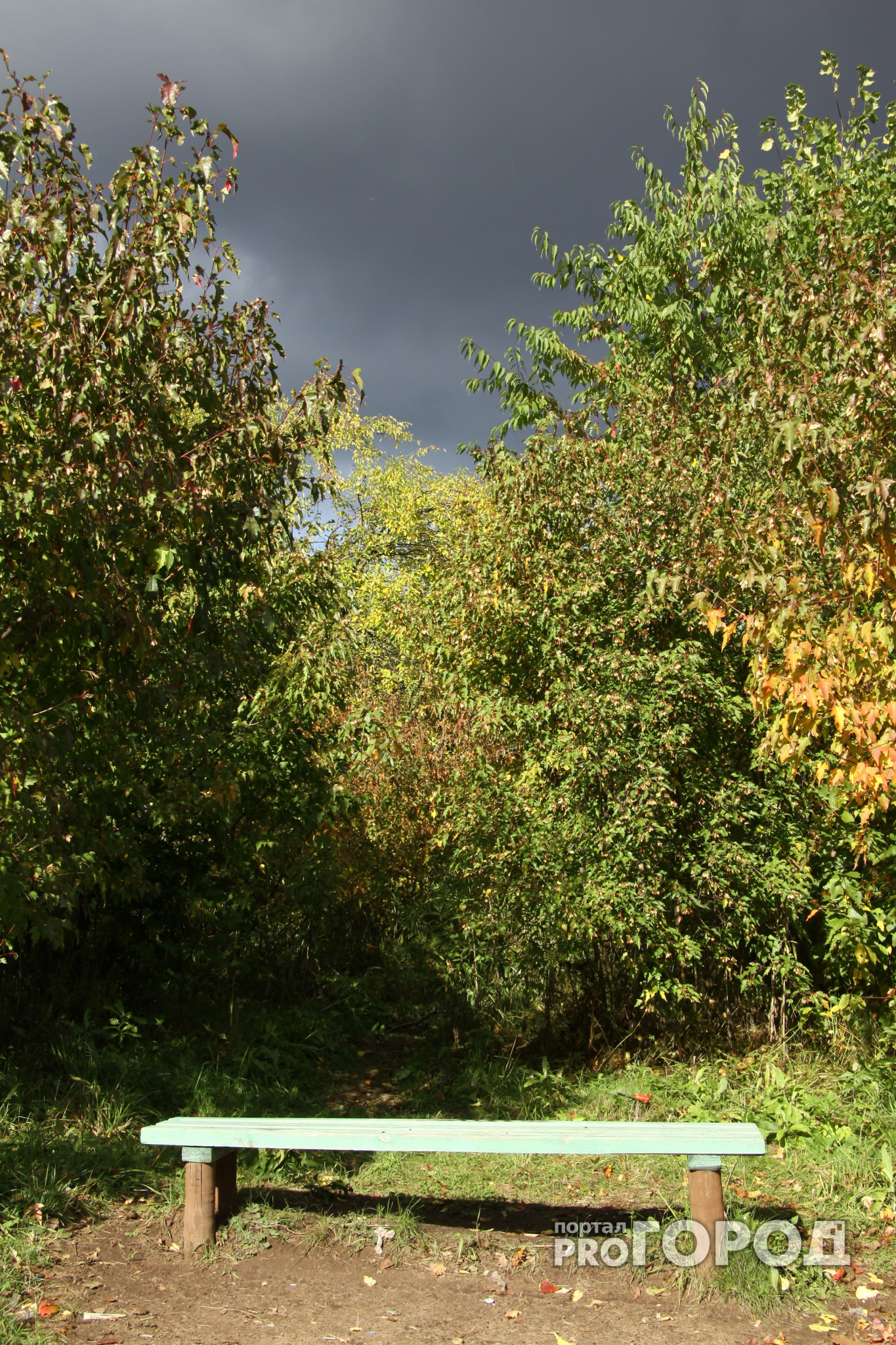 Погода в Сыктывкаре на 18 сентября: сухо, но холодно