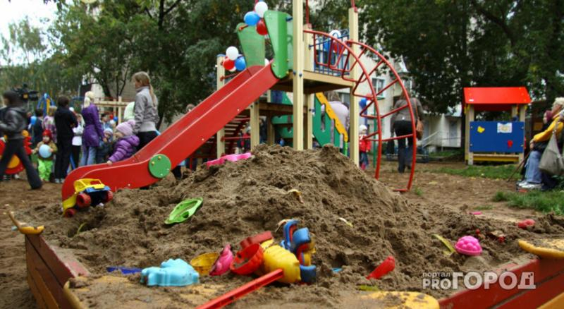 В Коми дети нашли в песочнице кости медведя