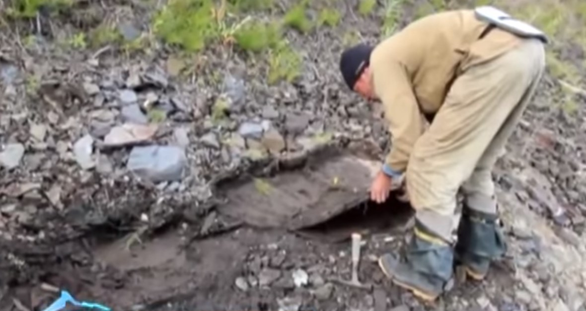 В Коми нашли останки неизвестных древних животных (видео)
