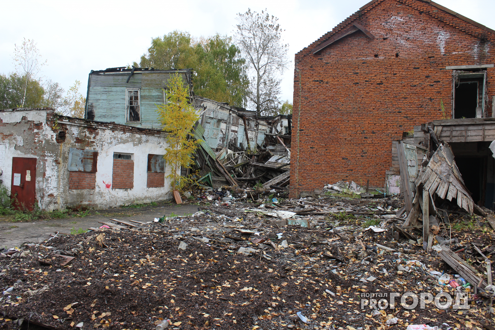 В Сыктывкаре объект культурного наследия завален мусором и трупами животных (фото)