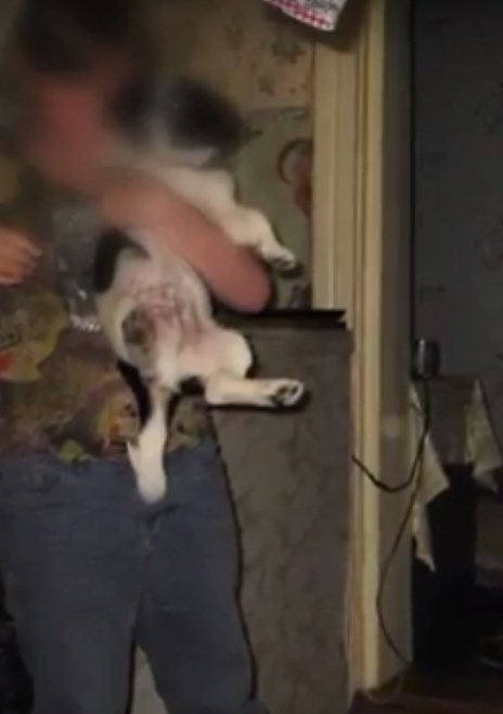 В Сыктывкаре отчим выстрелил в девочку в воспитательных целях (видео)