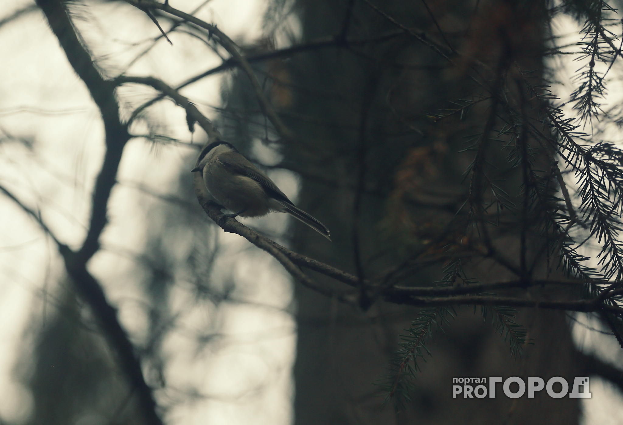 Погода на 1 октября: снег или дождь?