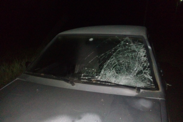В Коми нетрезвая автоледи на «Ладе» сбила пешехода (фото)