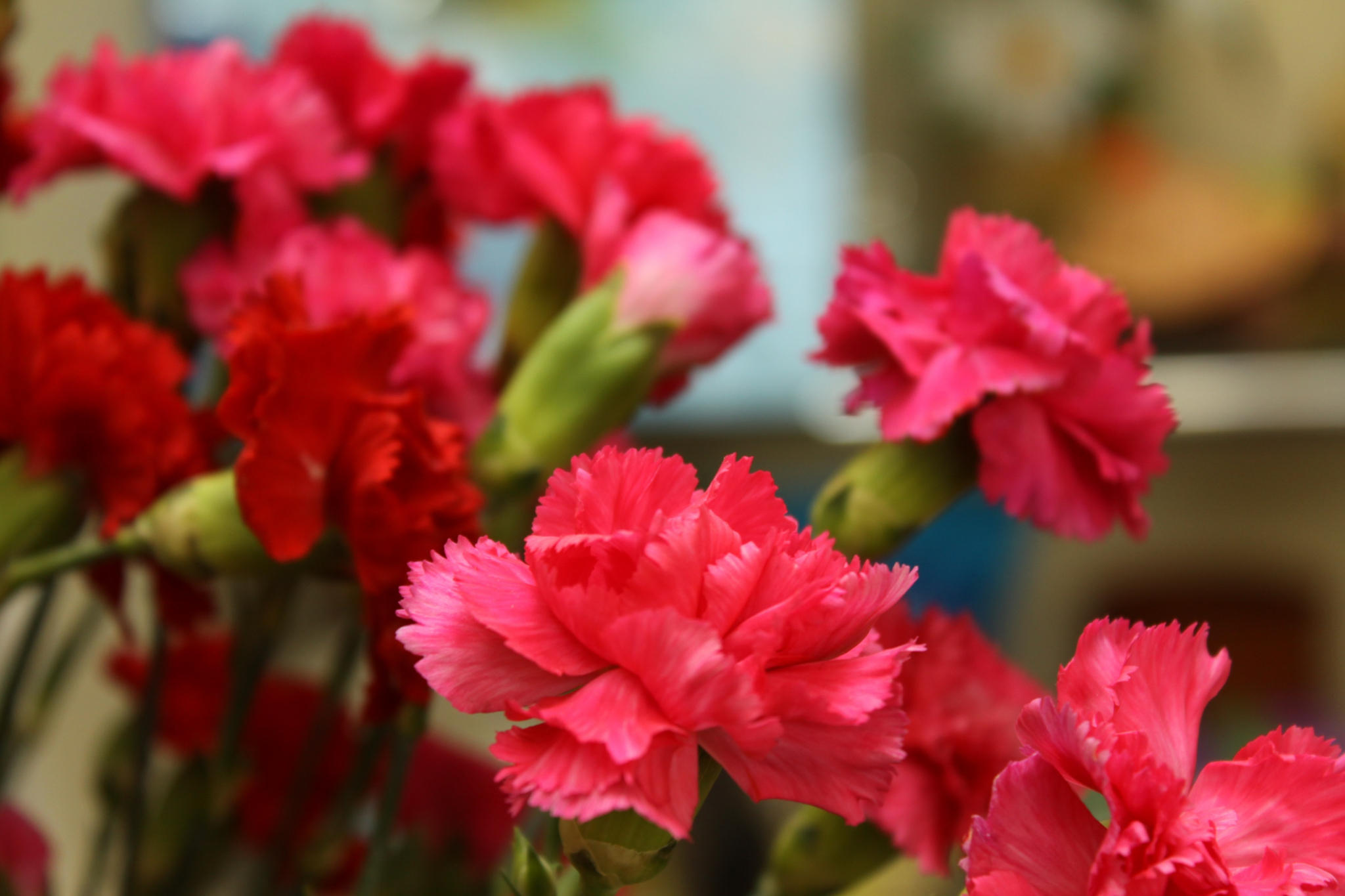 В Коми педагоги отказались от цветов на День учителя, чтобы помочь больной девочке