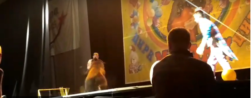 В Сыктывкаре цирковой медведь набросился на дрессировщика во время выступления (видео)