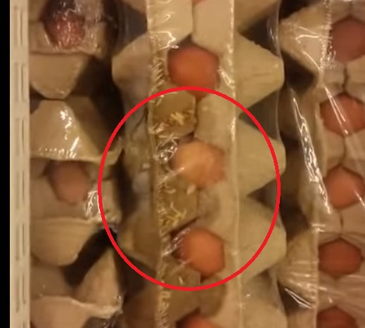 В известном торговом центре Сыктывкара продают тухлые яйца с опарышами (видео)