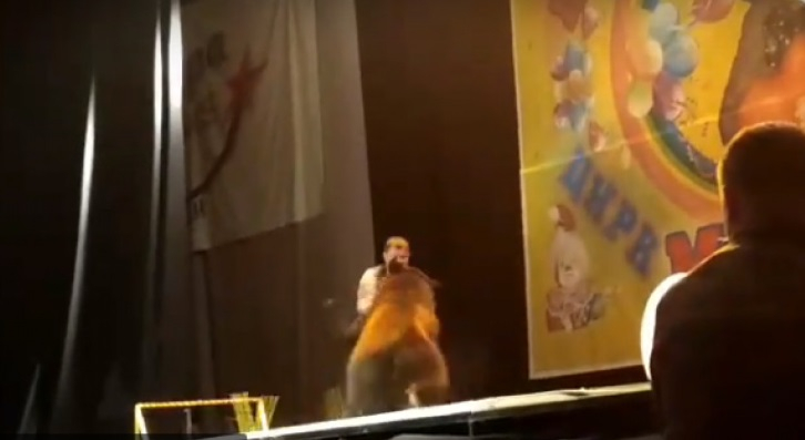 Нападение медведя на дрессировщика в Сыктывкаре прогремело на всю Россию