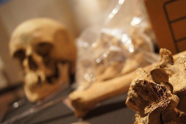 В Коми в хранилище для битума нашли человеческие кости