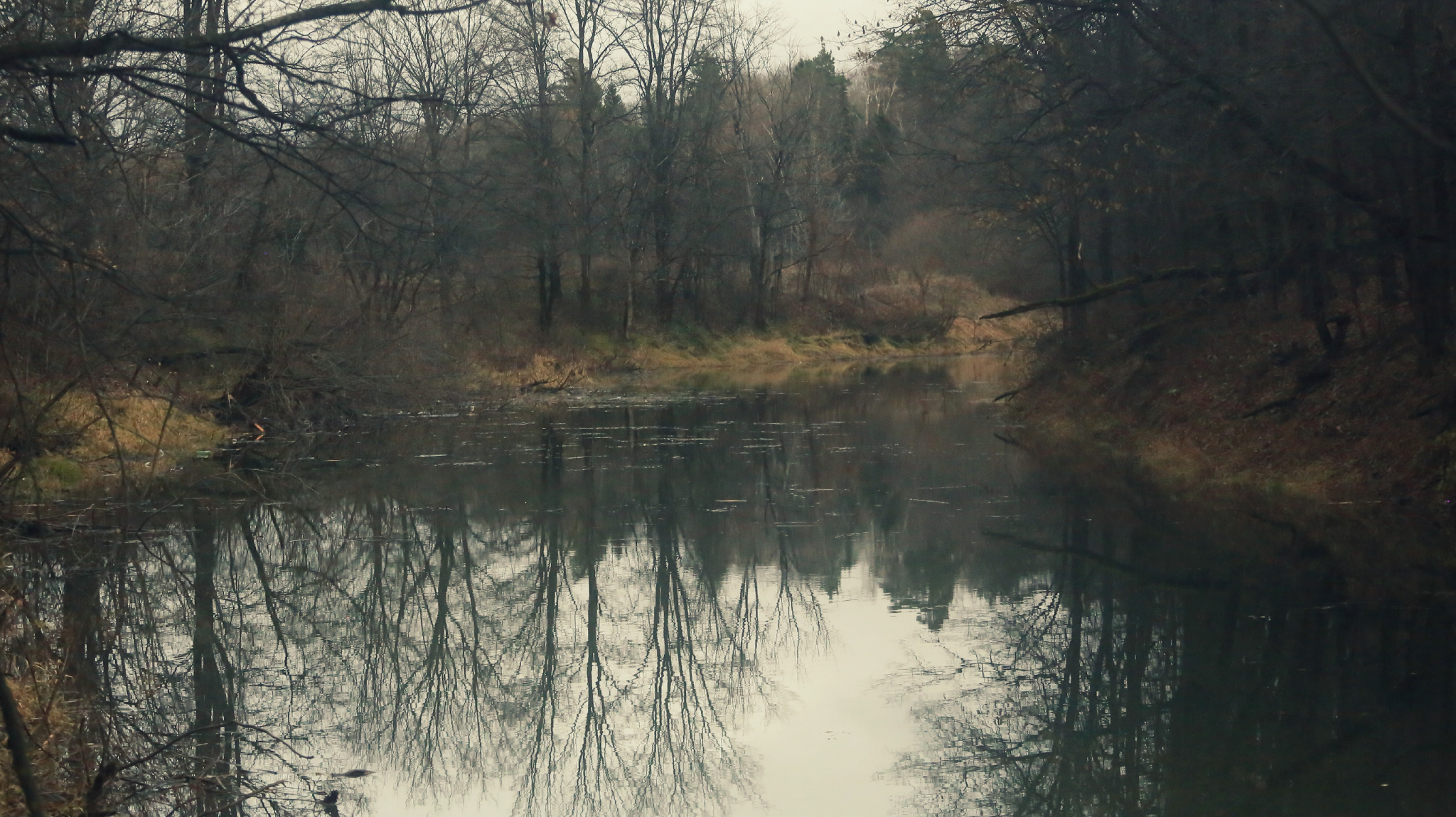 Погода в Сыктывкаре 13 октября: ночью слегка подморозит