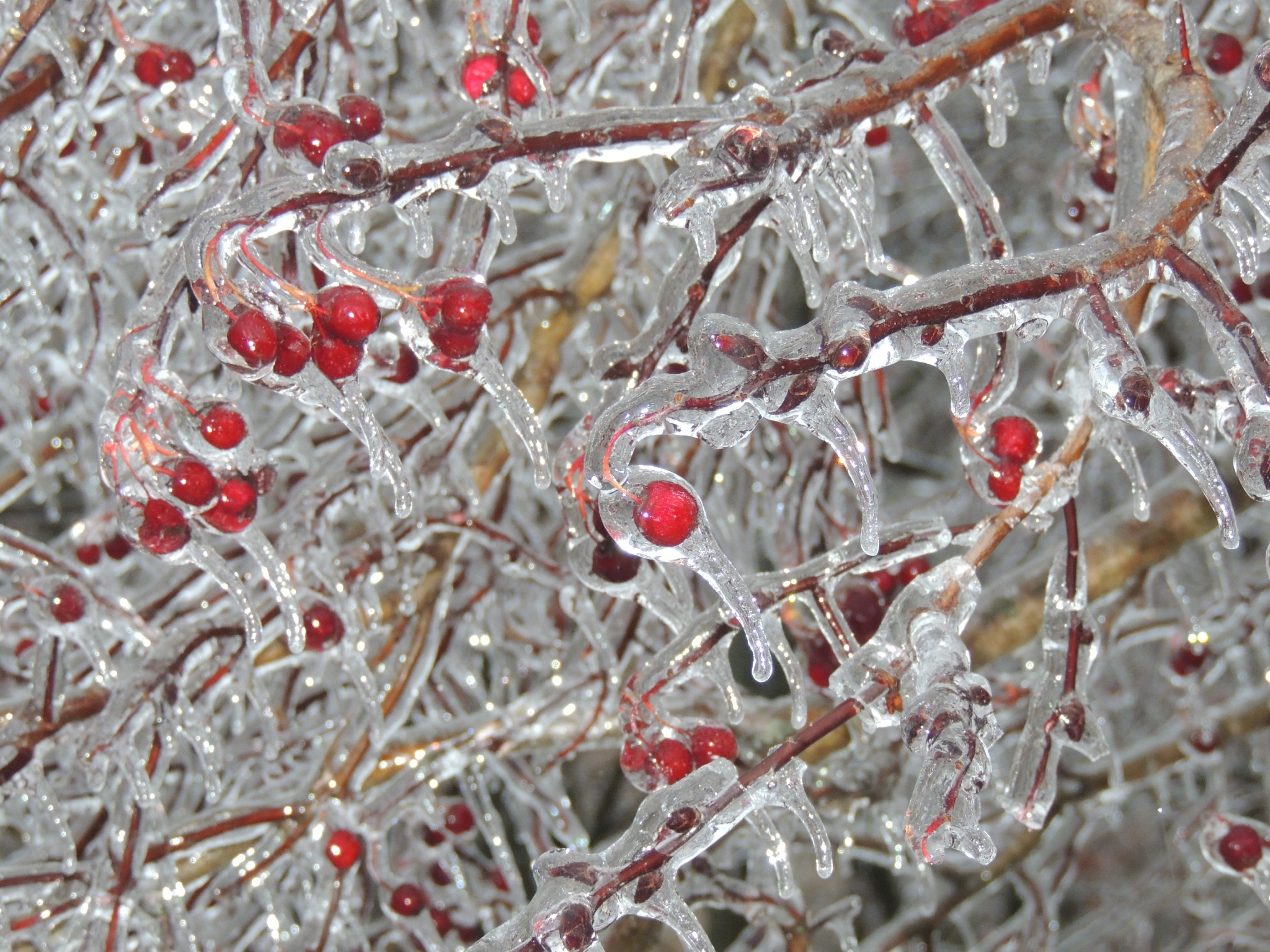 Погода в Сыктывкаре 27 октября: про плюсовые температуры можно забыть