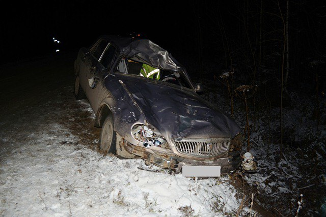 В Коми лось столкнулся с автомобилем: пострадало три человека
