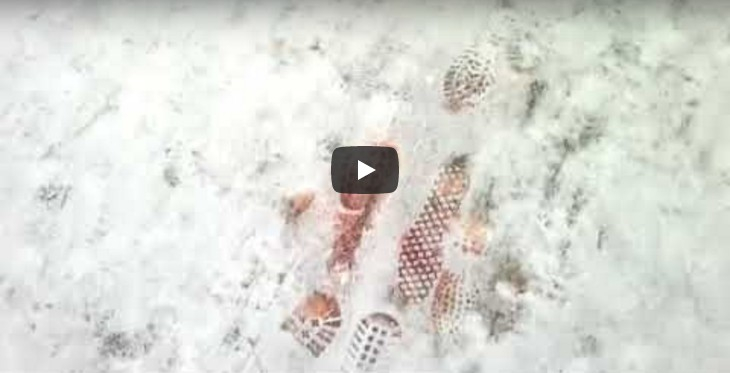 Сыктывкарцы сняли на видео дорогу из крови на свежем снегу