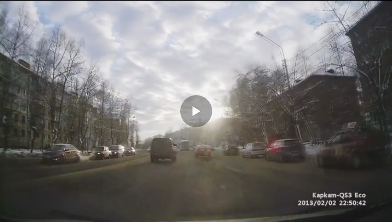В Сыктывкаре на Октябрьском проспекте безжалостный водитель сбил собаку (видео)