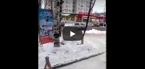 В Сыктывкаре внедорожник катался «против течения» по улице с односторонним движением (видео)