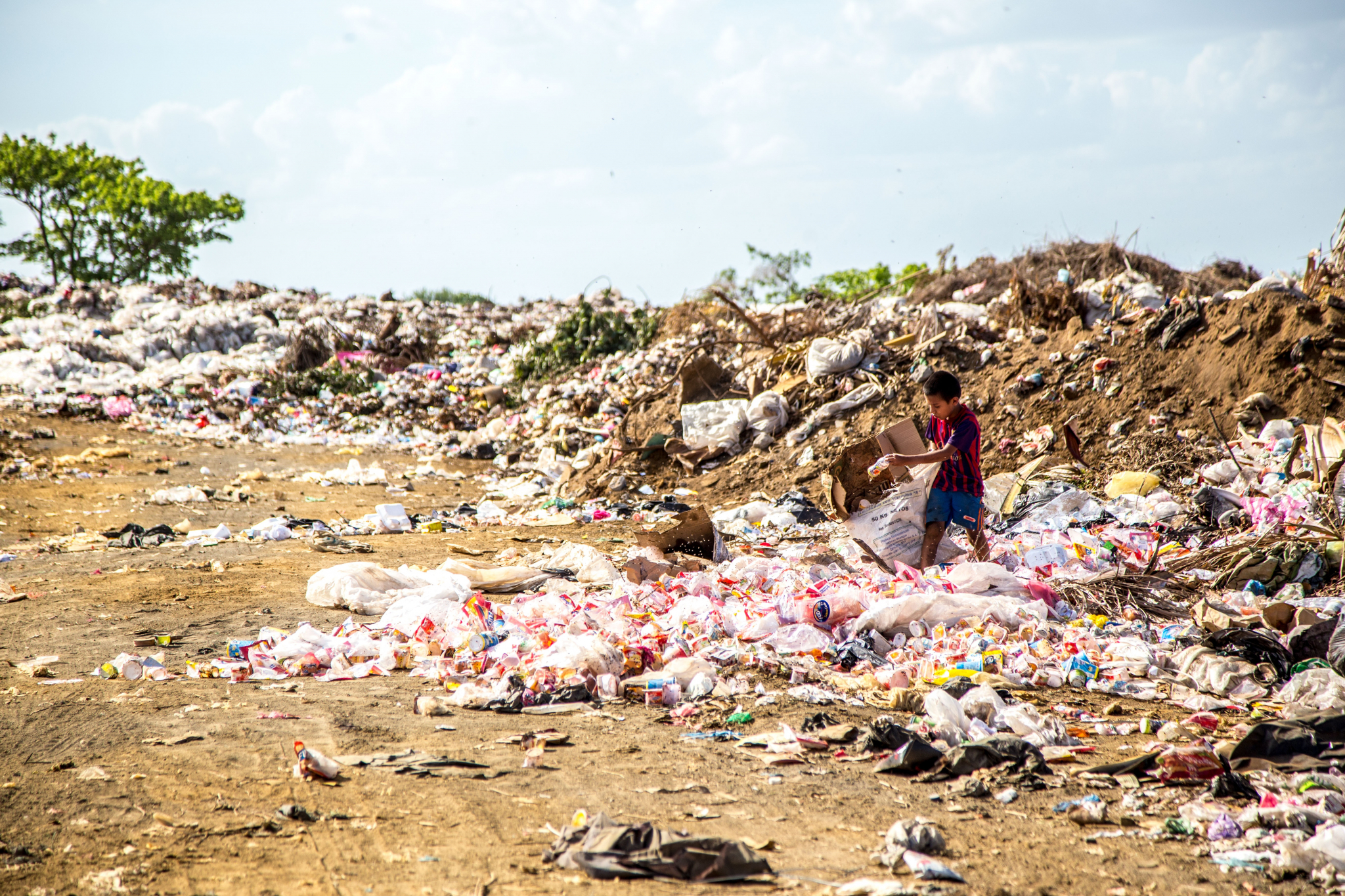 Экологи в Коми бьют тревогу: республику могут застроить заводами по сжиганию мусора