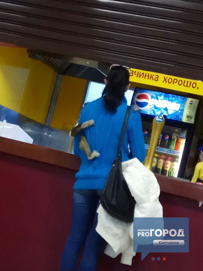 В торговом центре Сыктывкара женщина ходила с живой обезьяной на руках (фото)