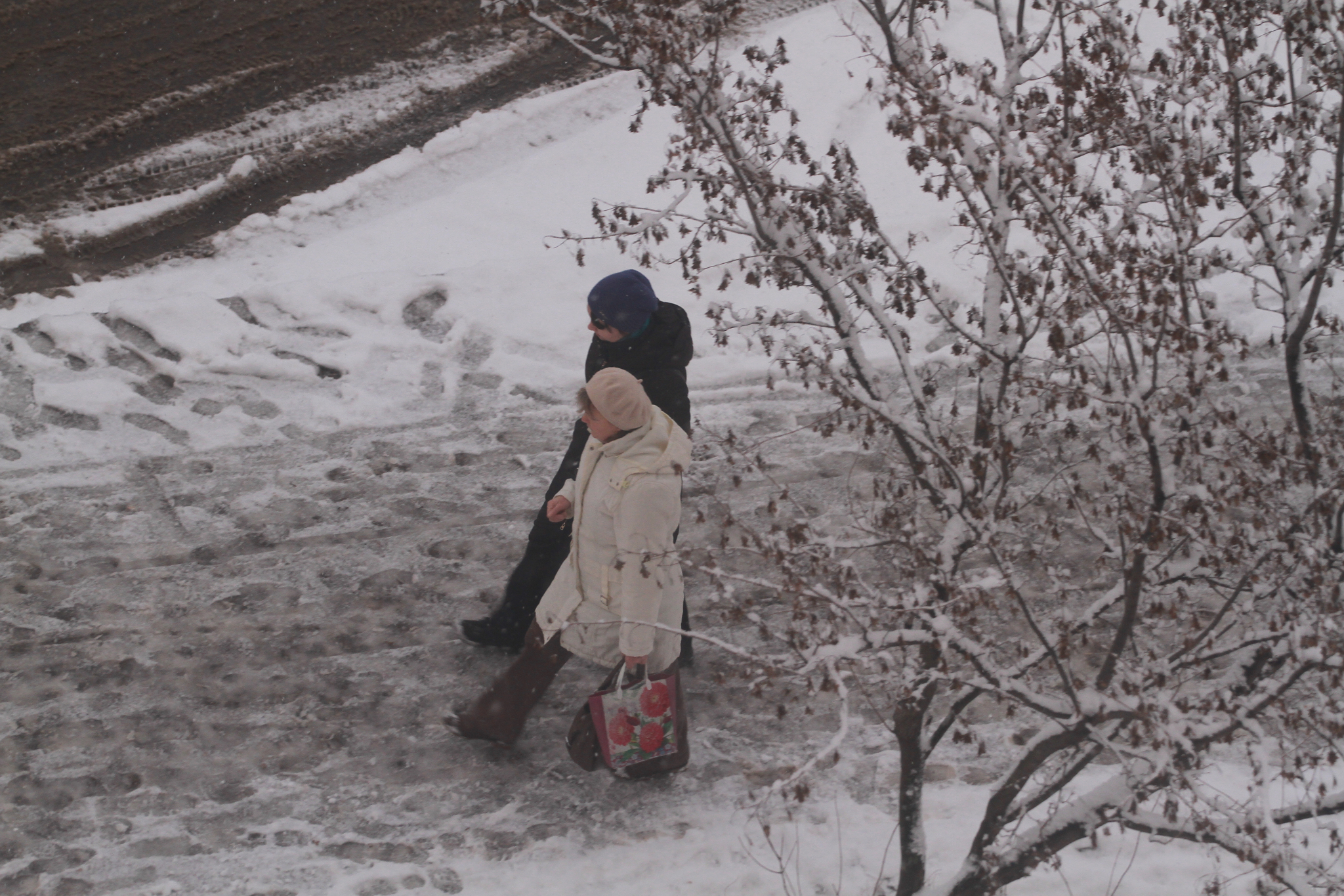 Погода в Сыктывкаре 30 ноября: последний месяц осени прощается с нами по-доброму
