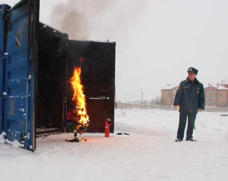 В Сыктывкаре сотрудники МЧС подожгли елку, чтобы показать, как надо ее тушить (фото)