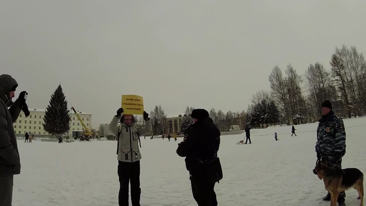 В Сыктывкаре в День Конституции за пикет, который не нарушает Конституцию, забрали активистку