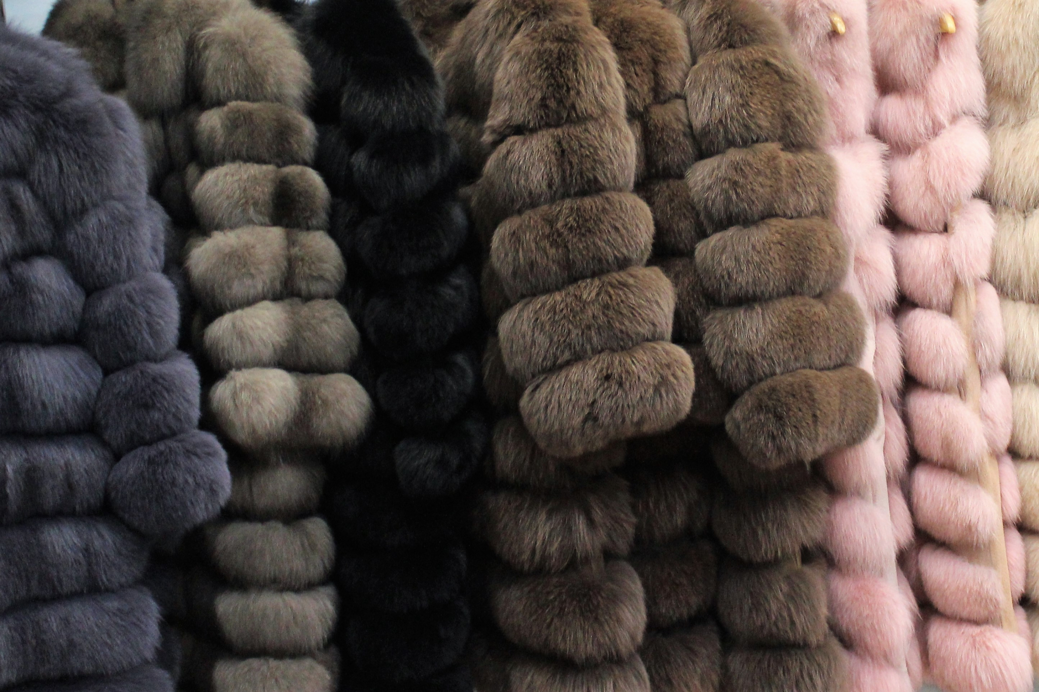 5 мифов о меховой одежде в Сыктывкаре