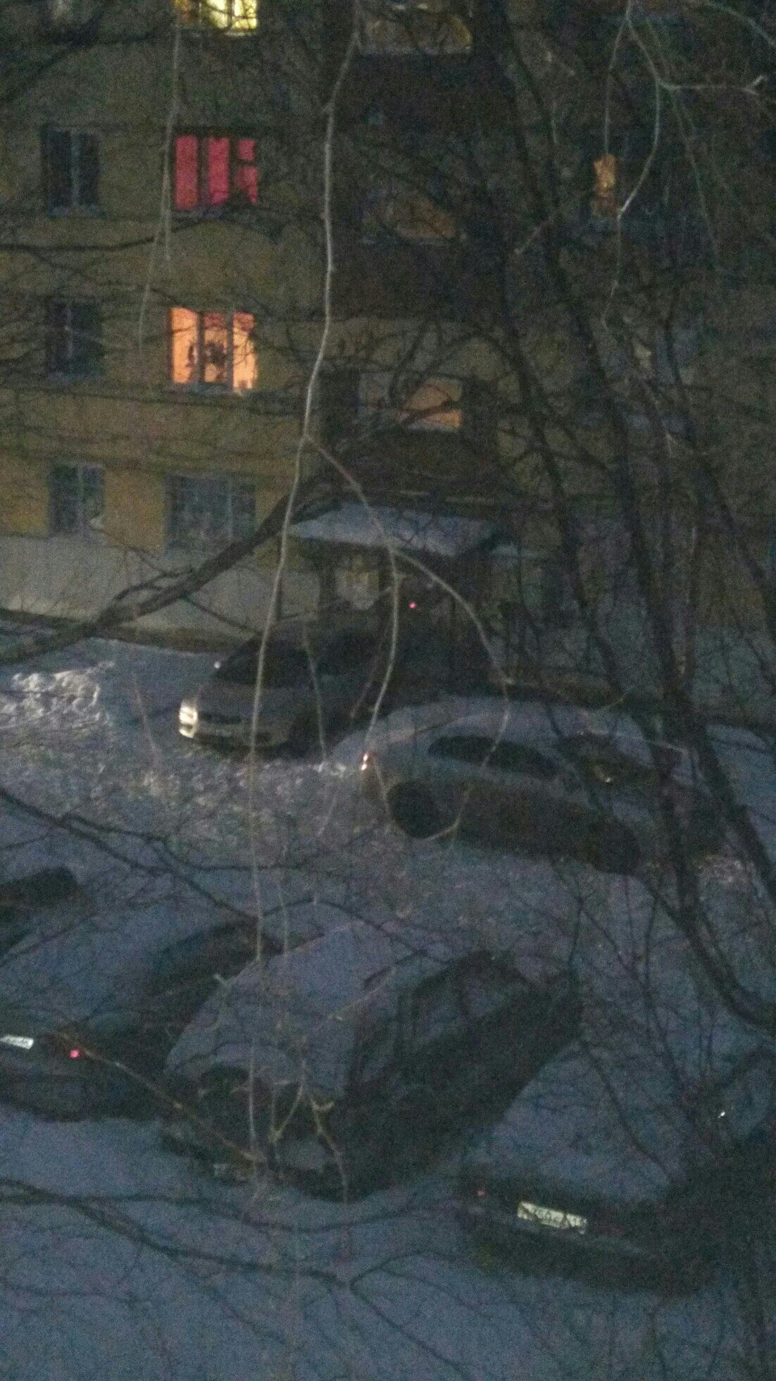 «Вообще совесть потеряли!»: в Коми обнаружили самого наглого водителя (фото)