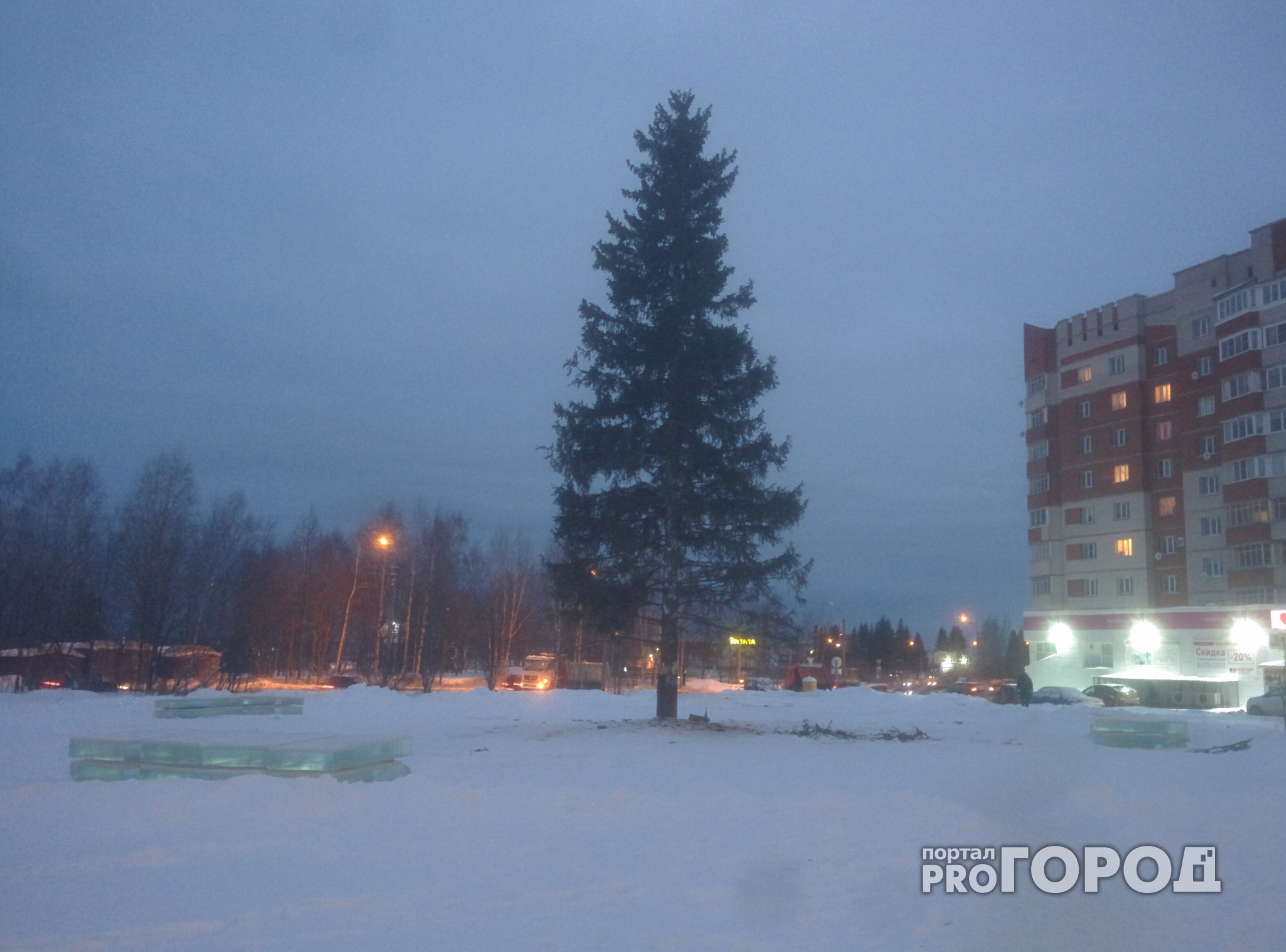 В Сыктывкаре новогоднюю ёлку впервые установили на Покровском бульваре (фото)