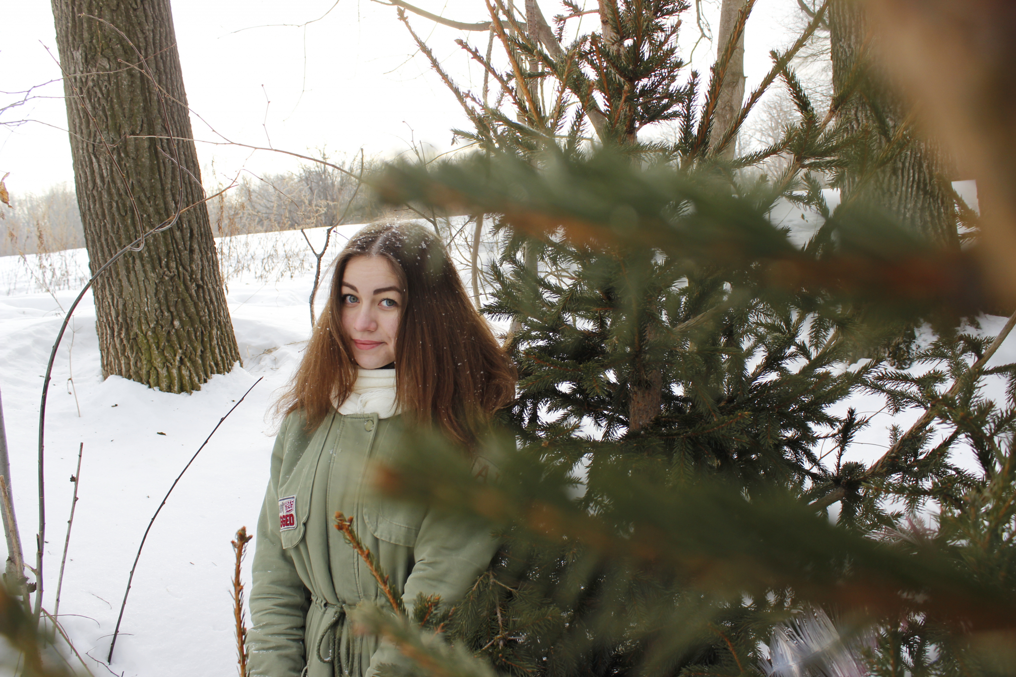 Погода в Сыктывкаре 25 декабря: отсчитываем последние «теплые» деньки уходящего года