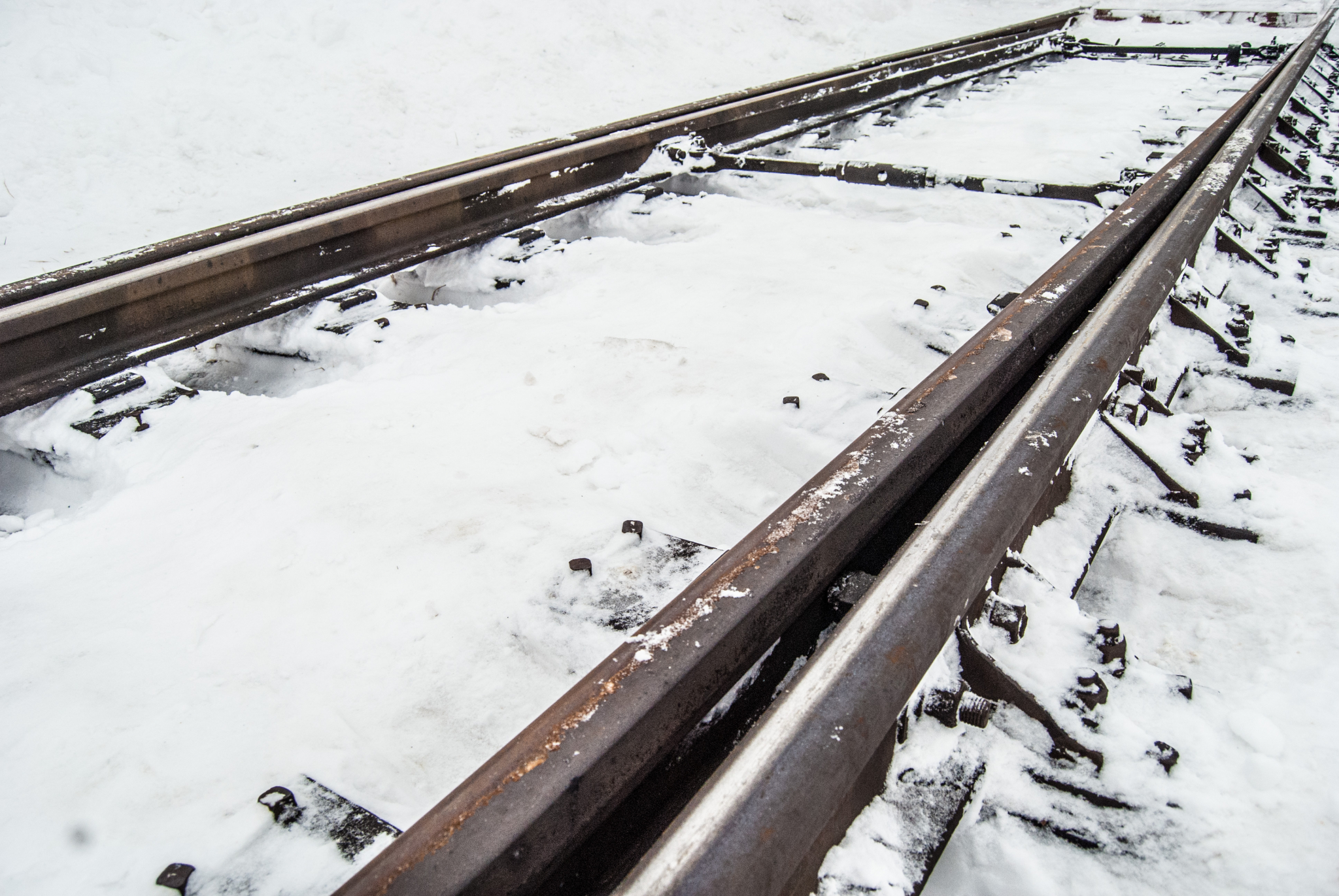 Республика Коми пустит с молотка свою долю «Белкомура»