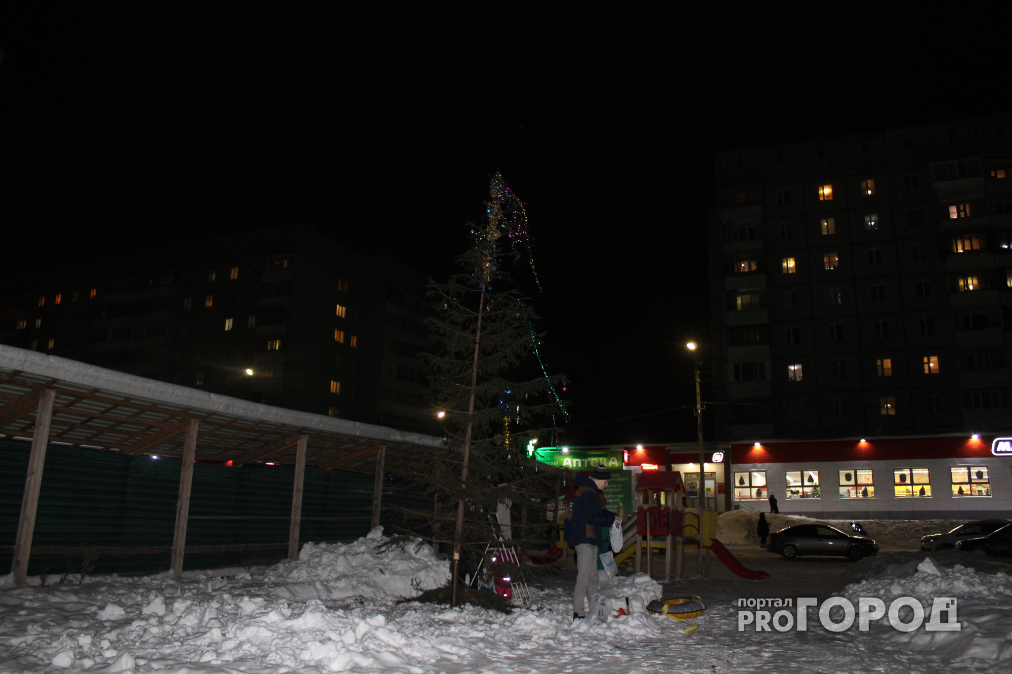 В Сыктывкаре жители Орбиты самостоятельно установили новогоднюю ёлку на спорном участке