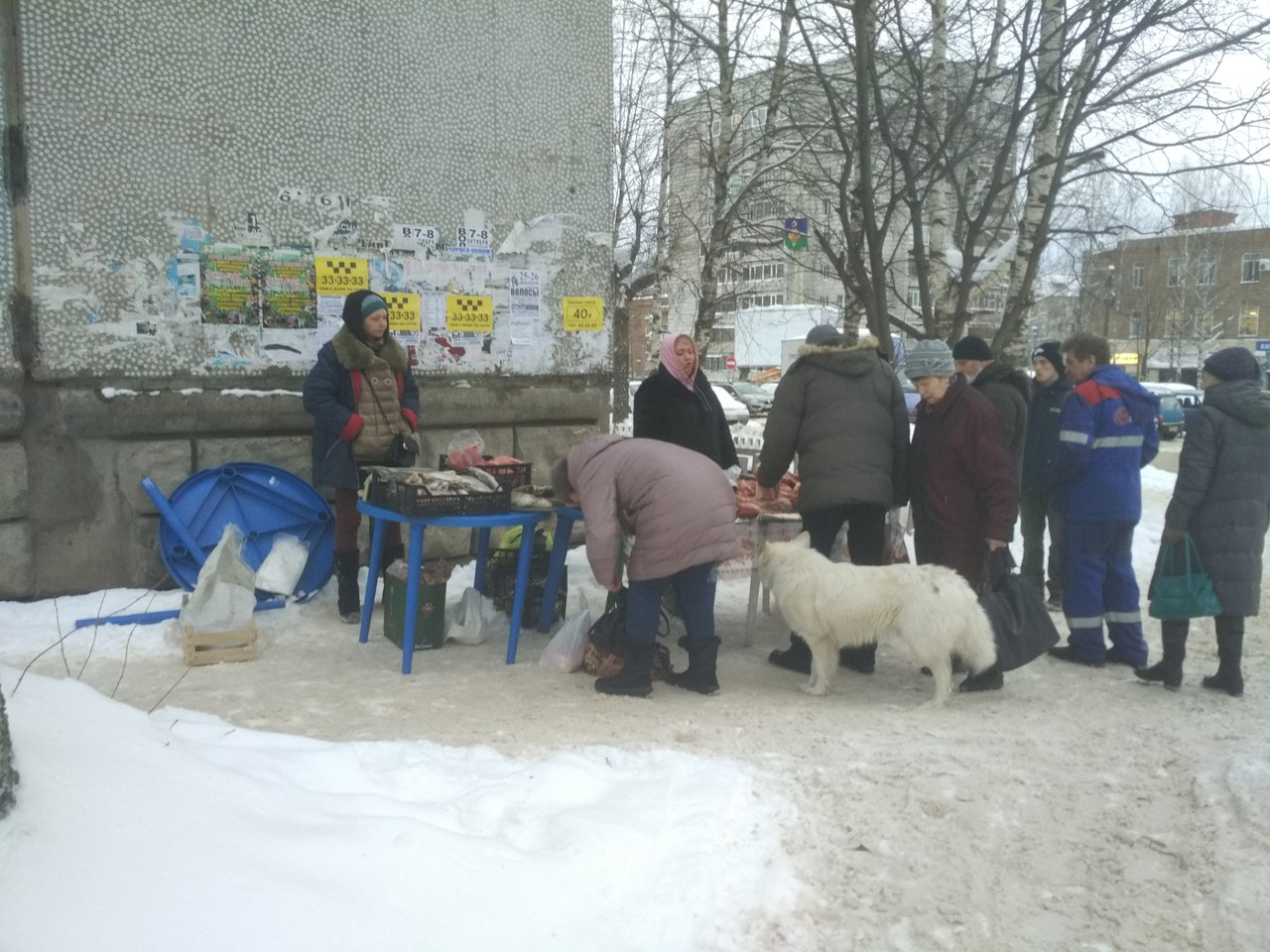 Жители Сыктывкара возмущены торговлей рыбой посреди тротуара (фото)