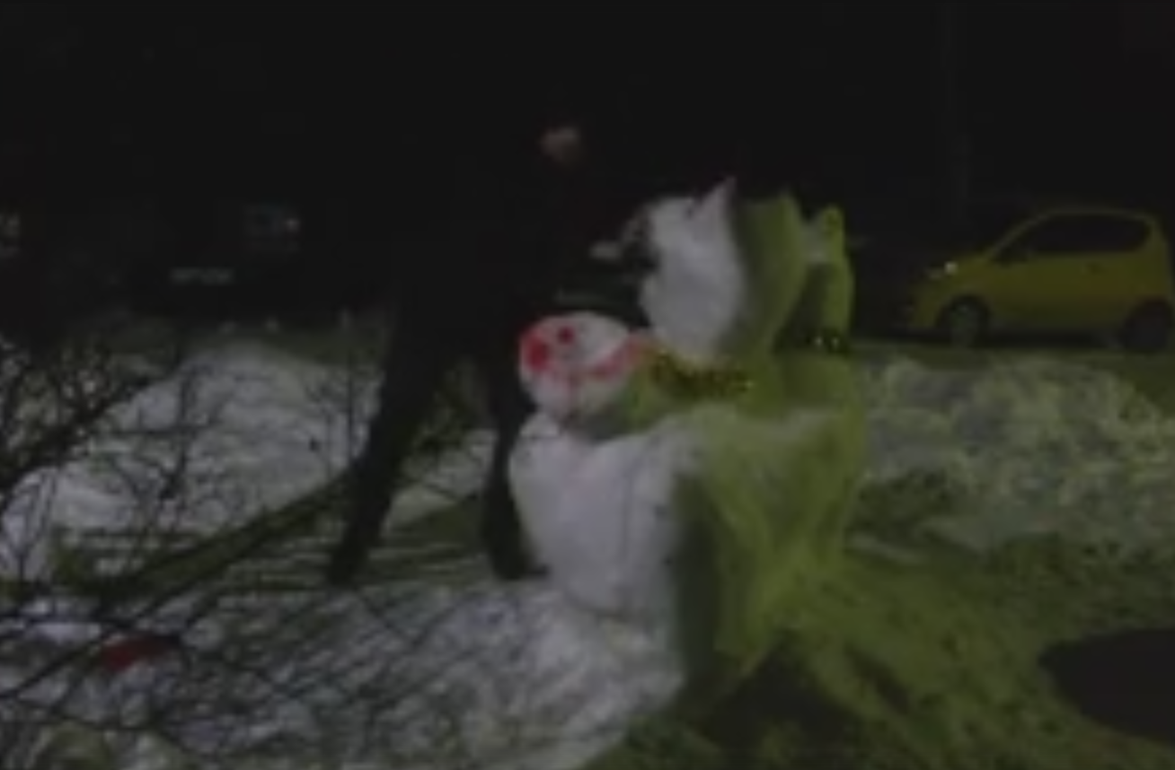 В Коми молодой человек три года подряд ломает детских снеговиков (видео)