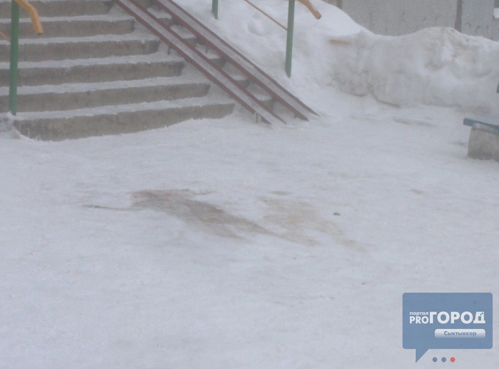 В Сыктывкаре из окна дома у Свято-Стефановского собора выпала девушка (фото)