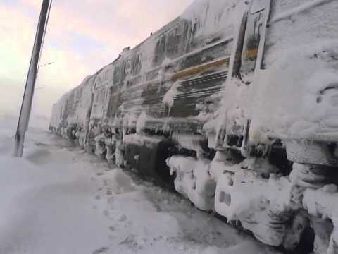 В Коми сотрудников предприятия заставили работать в промёрзших вагонах, покрытых инеем