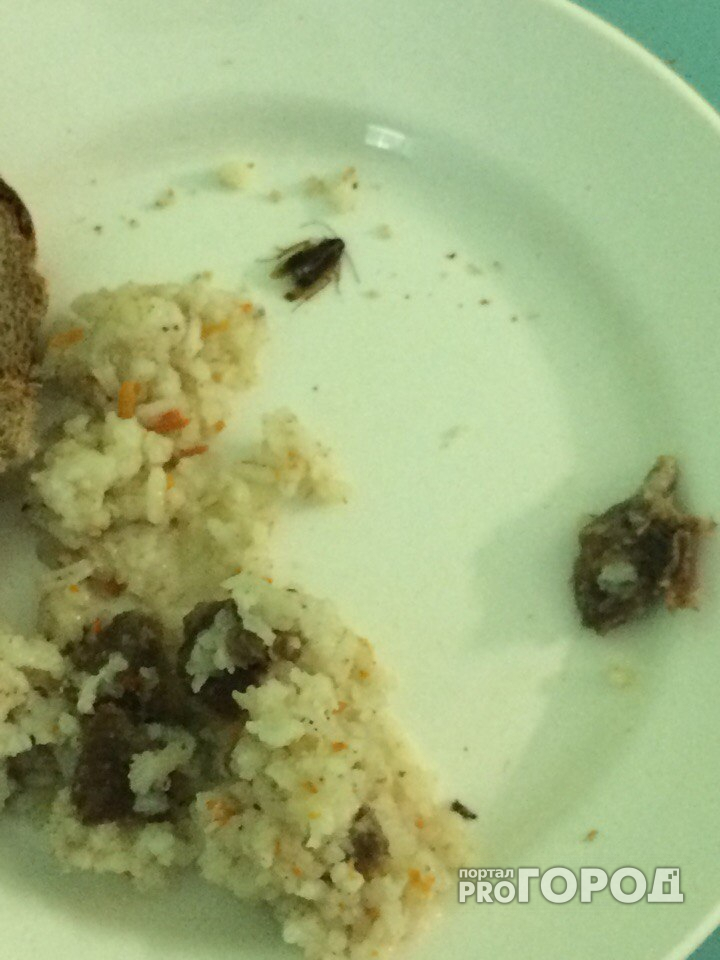 В сыктывкарском роддоме молодым мамам на обед дают еду с тараканами (фото)