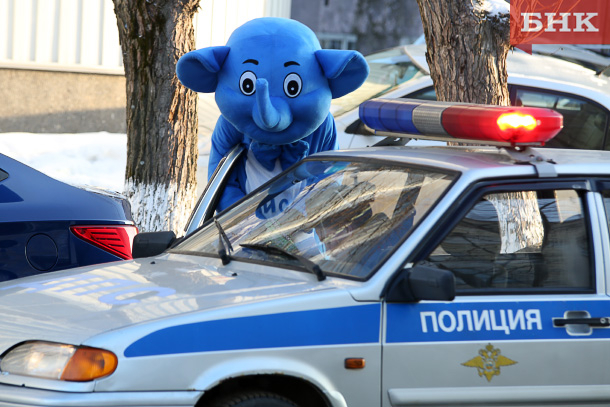 В Сыктывкаре на Стефановской площади полиция задержала слона (фото)