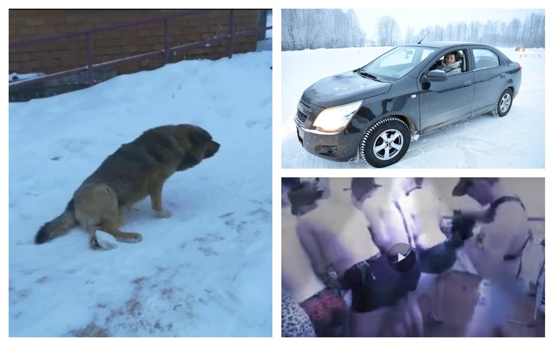 Сыктывкар за вчера: самые читаемые новости 22 января