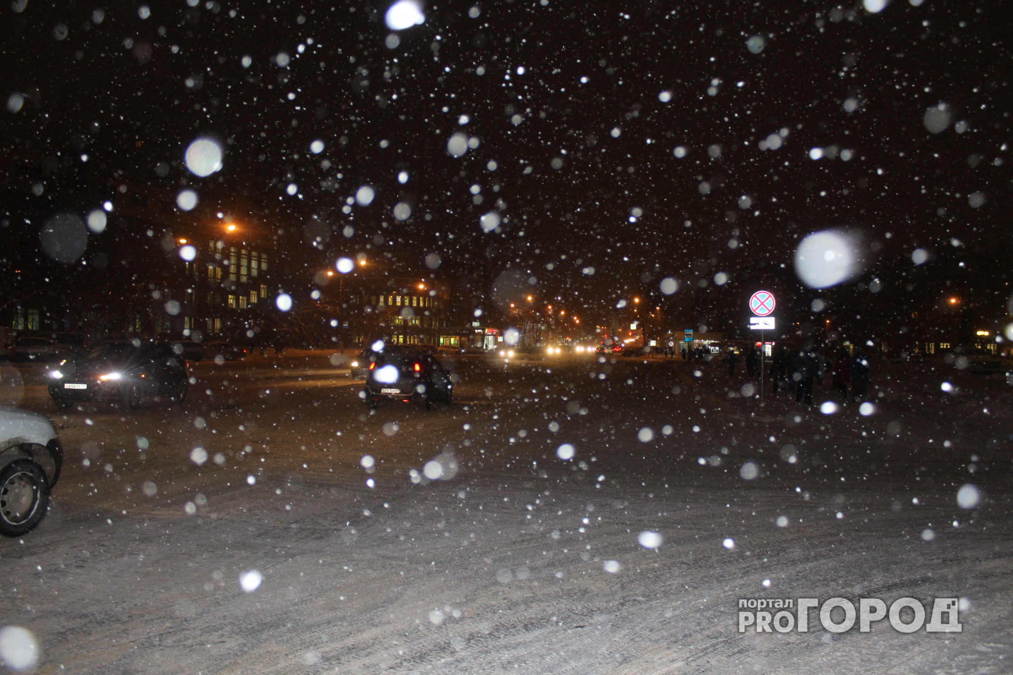 Погода в Сыктывкаре 28 января: снегопад и умеренный ветер