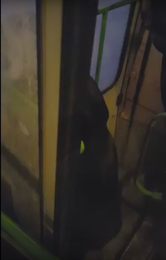 Водитель сыктывкарского автобуса зажал женщину в дверях и продолжил движение (видео)