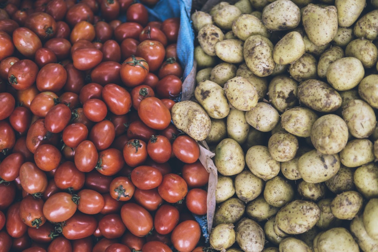 Ученые из Республики Коми вывели новые сорта картофеля
